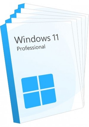 Windows 11 Professional (5 Keys)